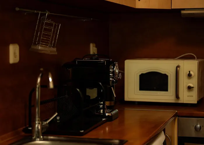 2 Deluxe Apartments, Center Free Parking, 4 Bdr アパート ソフィア